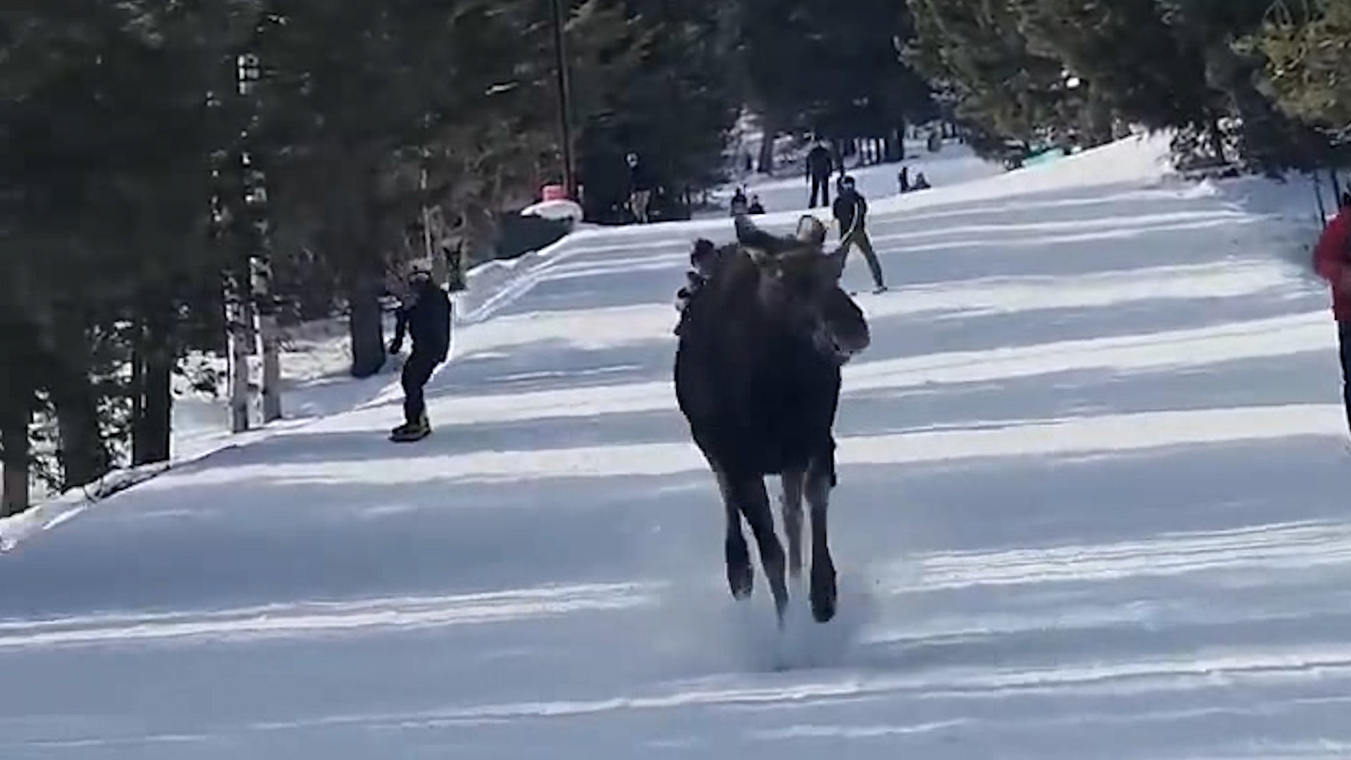 Massive Solar Flare Causes Radio Blackouts Videos from The Weather